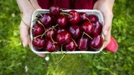 میوه تابستانی که کلسیم بیشتری از شیر دارد 