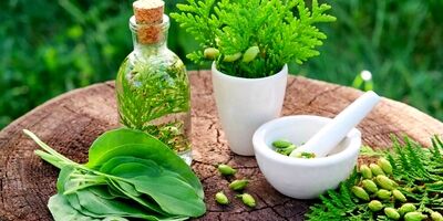 دارو‌های گیاهی را از عطاری نخرید
