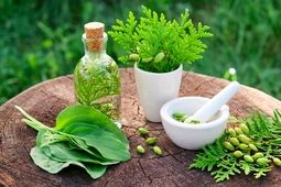 دارو‌های گیاهی را از عطاری نخرید
