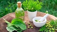 دارو‌های گیاهی را از عطاری نخرید
