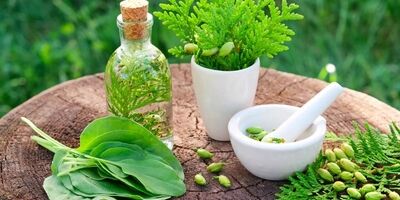دارو‌های گیاهی را از عطاری نخرید
