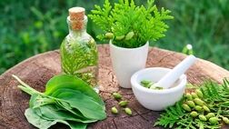 دارو‌های گیاهی را از عطاری نخرید
