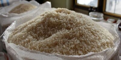 واردات برنج سهمیه بندی شد