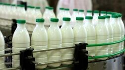 قیمت تضمینی شیر خام درب دامداری کیلویی ۱۲ هزار تومان تعیین شد
