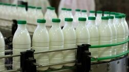 قیمت تضمینی شیر خام درب دامداری کیلویی ۱۲ هزار تومان تعیین شد
