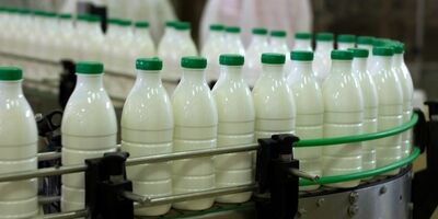 قیمت تضمینی شیر خام درب دامداری کیلویی ۱۲ هزار تومان تعیین شد
