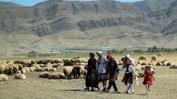 87 درصد بیمه شدگان شیروانی نسبت به تمدید بیمه خود اقدام کرده‌‍اند