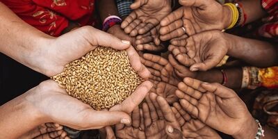  سه راهکا‌ر برای مقابله با تداوم رشد‌ قیمت‌های جهانی غذا و بحران غذایی‌ 