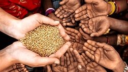 سه راهکا‌ر برای مقابله با تداوم رشد‌ قیمت‌های جهانی غذا و بحران غذایی‌ 