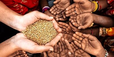  سه راهکا‌ر برای مقابله با تداوم رشد‌ قیمت‌های جهانی غذا و بحران غذایی‌ 
