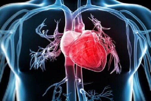 ورزش‌های مفید برای سلامت قلب
