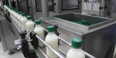 رشد ۷۸ درصدی درآمدهای لبنیاتی ها تا پایان آذر