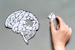 پیشگیری از زوال عقل با این کار ساده
