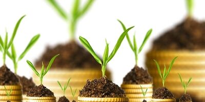 22درصد از خسارات ناشی از بلایای طبیعی مرتبط به بخش کشاورزی است
