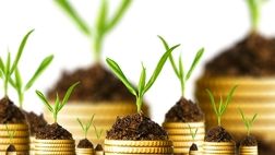 22درصد از خسارات ناشی از بلایای طبیعی مرتبط به بخش کشاورزی است