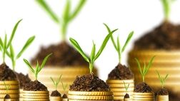 22درصد از خسارات ناشی از بلایای طبیعی مرتبط به بخش کشاورزی است