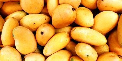 ۴ میوه‌ای که چاق کننده هستند