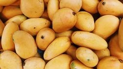۴ میوه‌ای که چاق کننده هستند