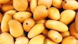۴ میوه‌ای که چاق کننده هستند