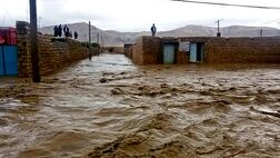 تنها  20 درصد واحدهای مسکونی شهری و روستایی سمنان بیمه هستند