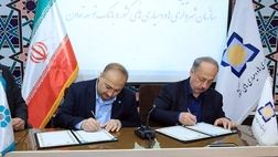 توسعه بنگاه‌های تولیدی و تعاونی‌های روستایی با حمایت بانک توسعه تعاون
