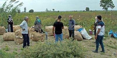 همکاری صندوق بیمه اجتماعی برای واکسیناسیون فوری در مناطق جنوبی کشور