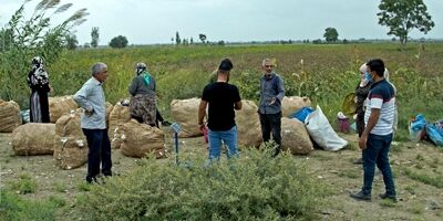 خسارت ناشی از سیل و تگرگ به بیمه‌گذاران کشاورزی پرداخت می‌شود