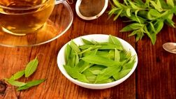 معجزه دمنوش به لیمو برای لاغری و کاهش اضطراب