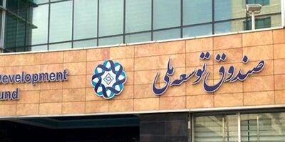 صندوق توسعه ملی آماده اجرای عملیات قانون تنفس خوراک پتروپالایشگاه‌ها است