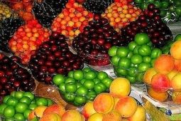 تمامی اقلام میوه و صیفی به وفور در حال توزیع است