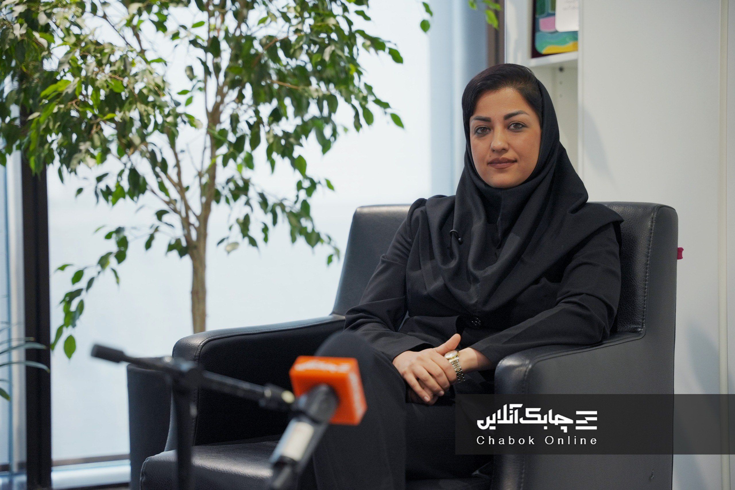 زیرساخت فروش آنلاین به صورت فراگیر در شرکتهای لیزینگ وجود ندارد + فیلم