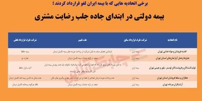 بیمه دولتی در ابتدای جاده جلب رضایت مشتری