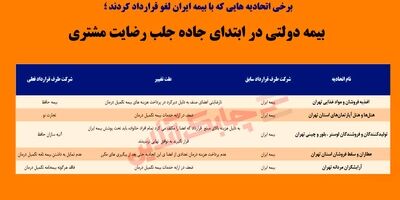 بیمه دولتی در ابتدای جاده جلب رضایت مشتری