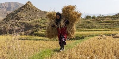 زنان روستا‌یی  ۱۵ تا ۲۰ درصد تولیدات لبنی و دامی کشور را بر عهده دارند