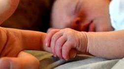 تولد بیش از یک میلیون نوزاد در سال گذشته