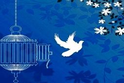 مرگ زندانی محکوم به قصاص پس از بخشش
