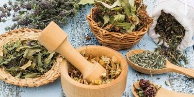 صادرات گیاهان دارویی به ۹۶۱ تن رسید
