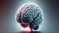 ضربه مغزی چیست و چه علائمی دارد؟
