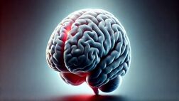 ضربه مغزی چیست و چه علائمی دارد؟
