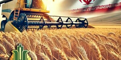  خرید تضمینی 12 میلیون تن گندم با عاملیت بانک کشاورزی