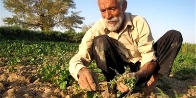 77 هزار نفر تحت پوشش صندوق بیمه اجتماعی استان کرمان هستند