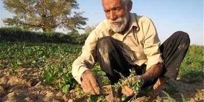 77 هزار نفر تحت پوشش صندوق بیمه اجتماعی استان کرمان هستند
