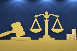 ۸۴۳ میلیارد تومان برای تکمیل دیه زنان پرداخت شد 