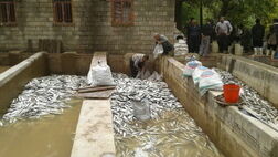 ۴۵ واحد آبزی‌پروری در سیل فروردین‌ماه امسال 100 درصد تخریب شد