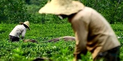 پرداخت ۲۱ هزار میلیارد تومان تسهیلات اشتغال