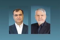 صنعت بیمه تمام‌قد حامی فعالان گردشگری و صنایع‌دستی است
