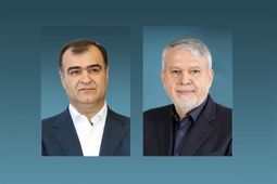 صنعت بیمه تمام‌قد حامی فعالان گردشگری و صنایع‌دستی است
