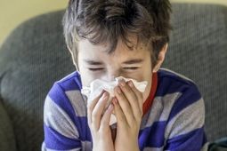 آلرژی، سرماخوردگی، آنفلوآنزا؛ چگونه علائم را تشخیص دهیم؟
