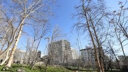 
دستورالعمل ساخت و ساز در باغات تهران ابطال نشد