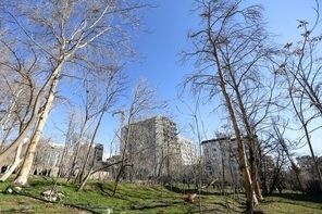 
دستورالعمل ساخت و ساز در باغات تهران ابطال نشد